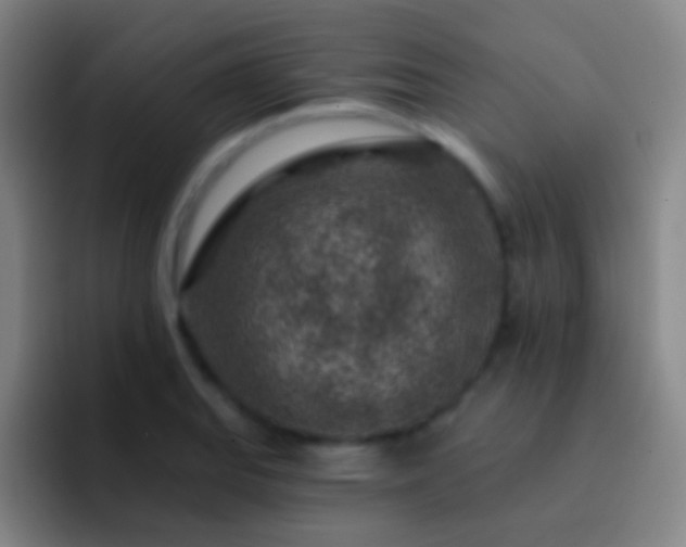 X0000092301127200709211226