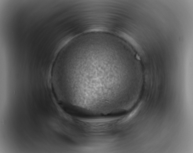 X0000092301129200709211226