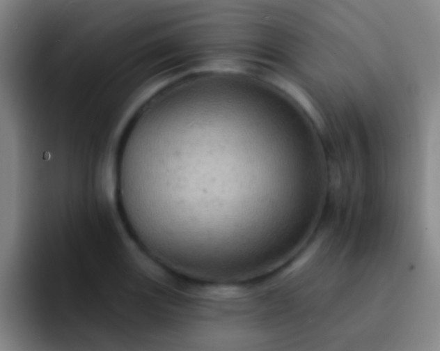 X0000092301131200709211226