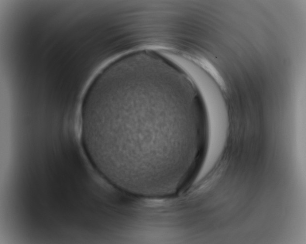 X0000092301132200709211226