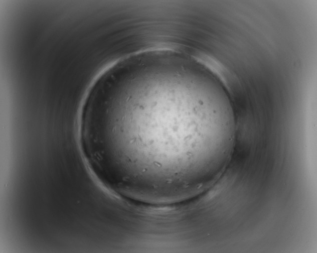 X0000092301135200709211226