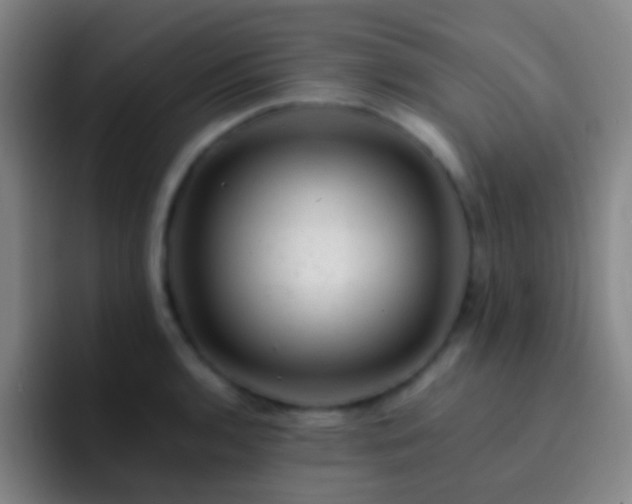 X0000092301136200709211226