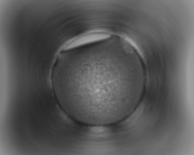 X0000092301137200709211226