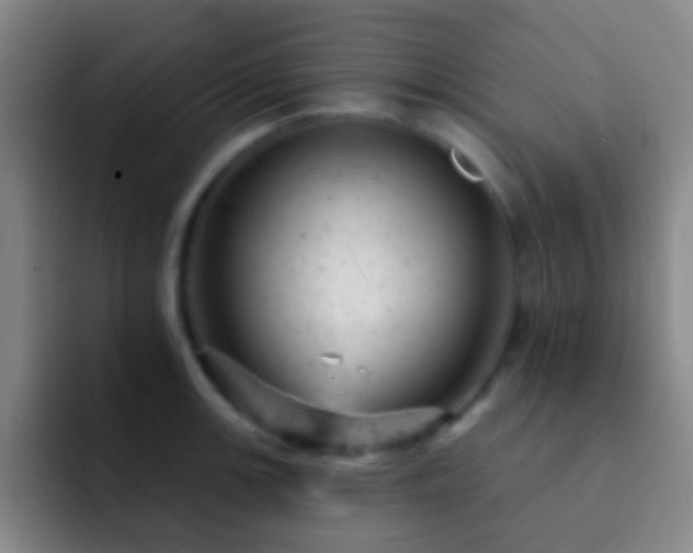X0000092301139200709211226