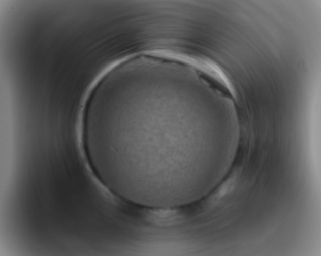 X0000092301147200709211226