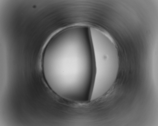 X0000092301148200709211226