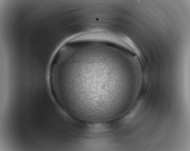X0000092301149200709211226