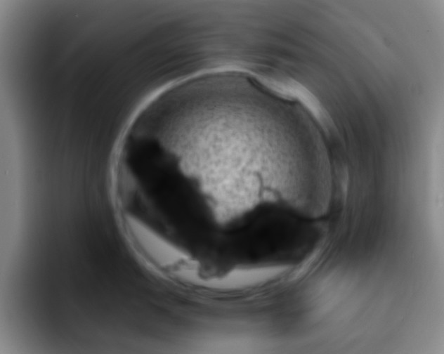 X0000092301151200709211226