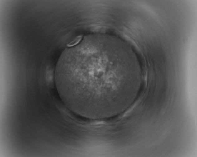 X0000092301154200709211226