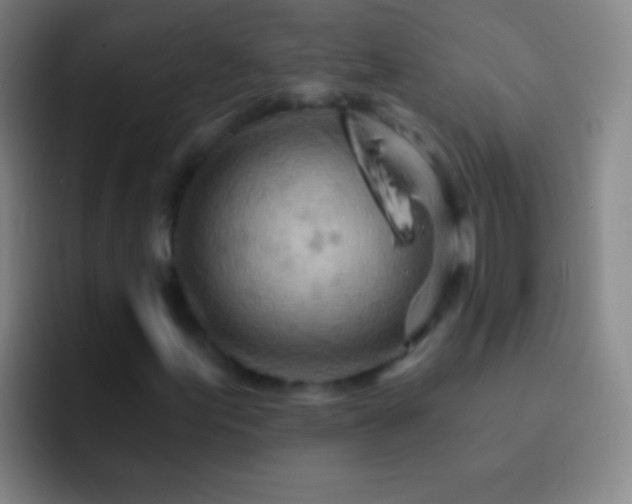 X0000092301155200709211226