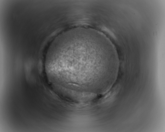X0000092301159200709211226