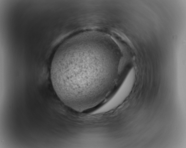X0000092301160200709211226