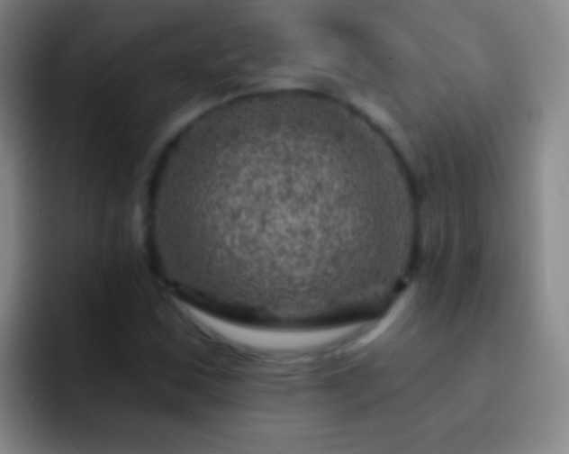 X0000092301163200709211226