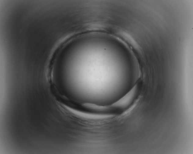 X0000092301164200709211226