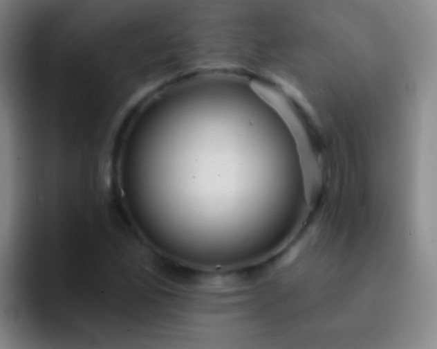 X0000092301165200709211226