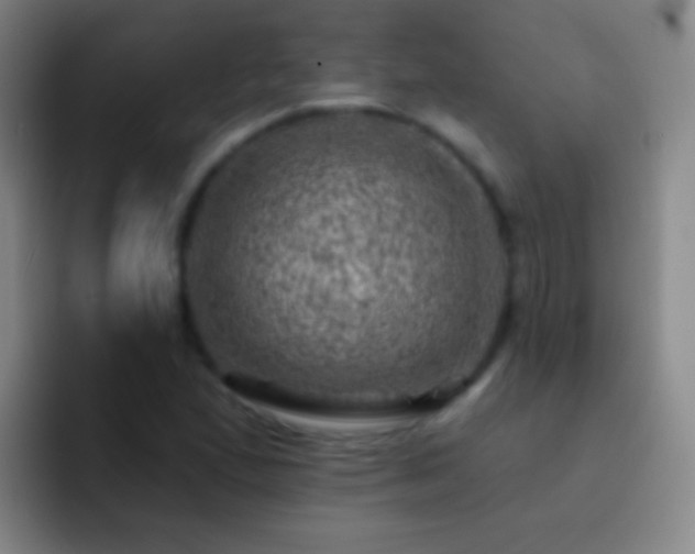 X0000092301167200709211226