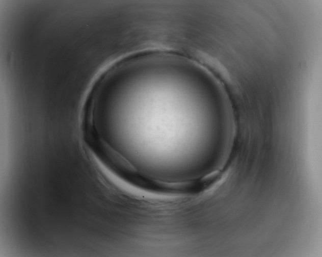 X0000092301168200709211226