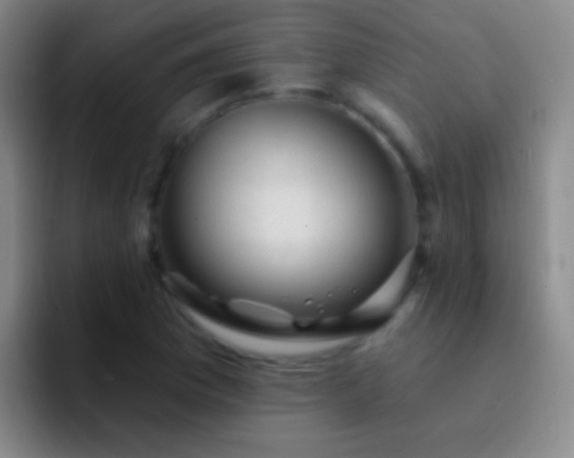X0000092301169200709211226