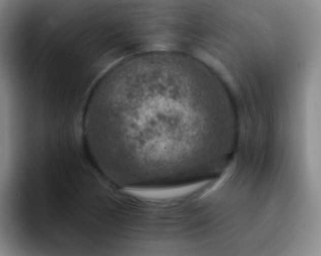 X0000092301170200709211226