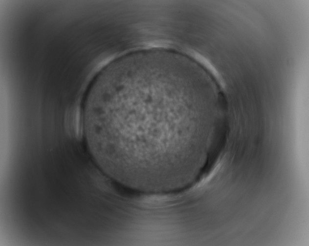 X0000092301171200709211226