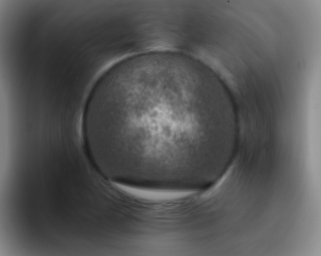 X0000092301174200709211226