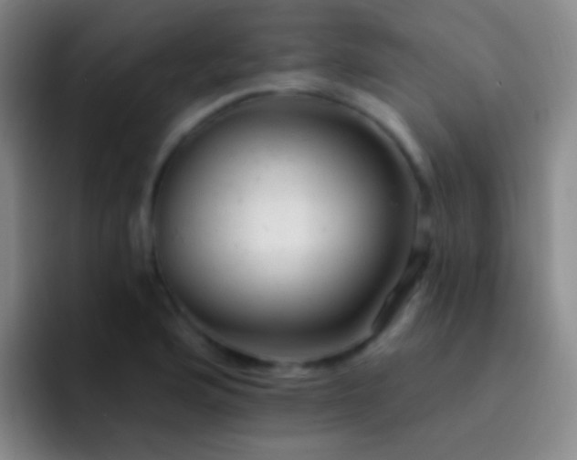 X0000092301176200709211226