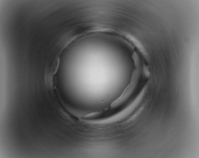 X0000092301177200709211226