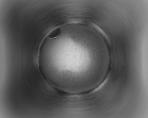 X0000092301178200709211226