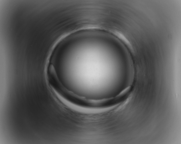 X0000092301181200709211226