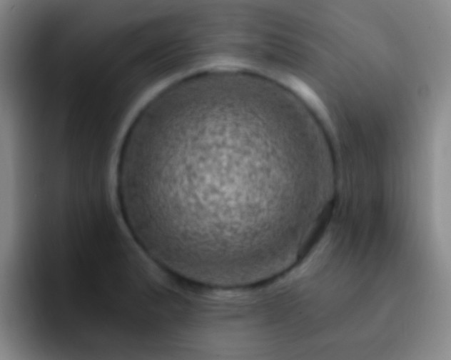 X0000092301183200709211226