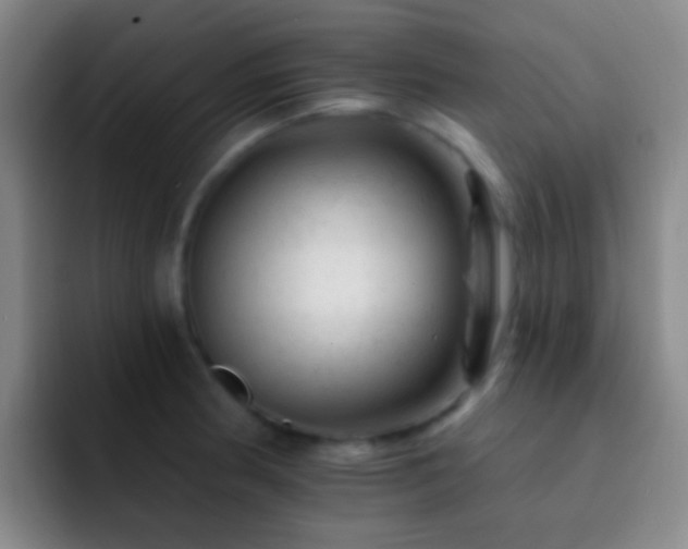 X0000092301186200709211226