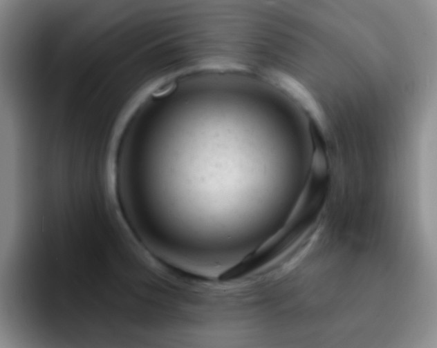 X0000092301188200709211226