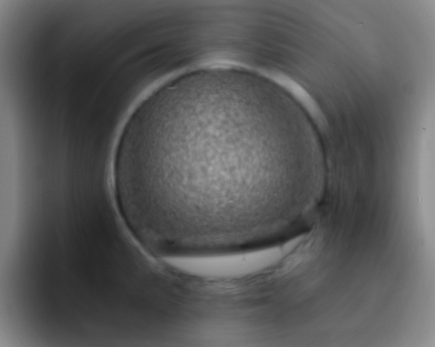 X0000092301191200709211225
