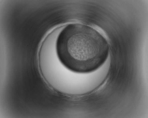 X0000092301192200709211225
