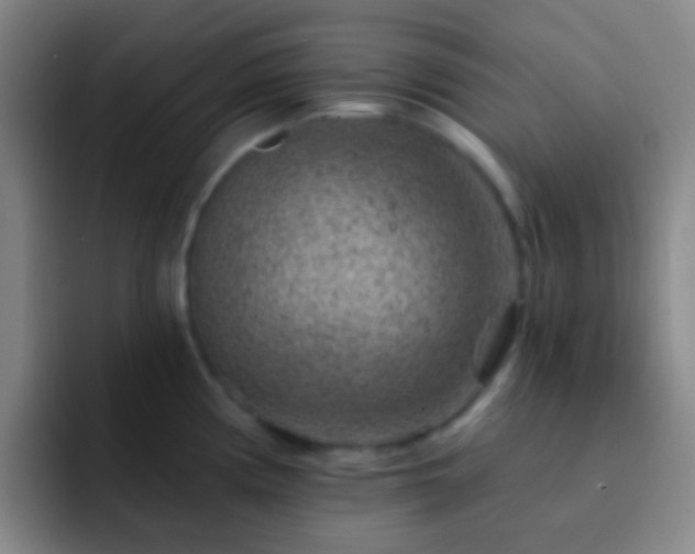 X0000092301194200709211225