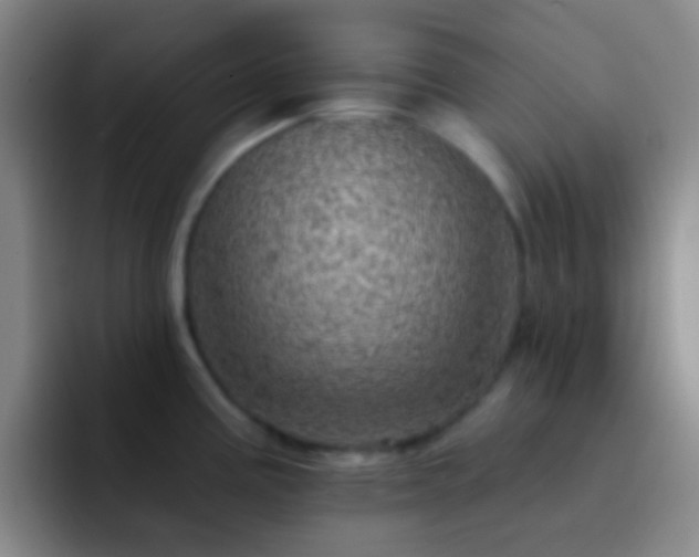 X0000092301195200709211225