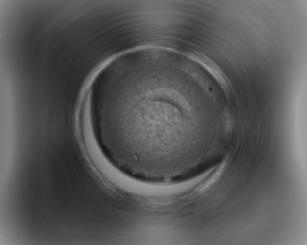 X0000092301196200709211225