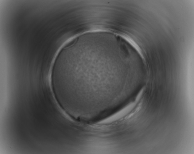 X0000092301197200709211225