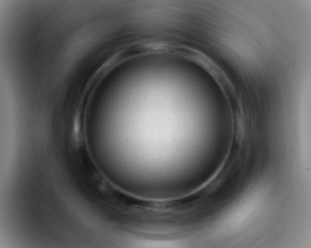 X0000092301198200709211225