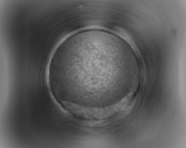 X0000092301199200709211225