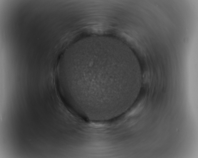 X0000092301202200709211225