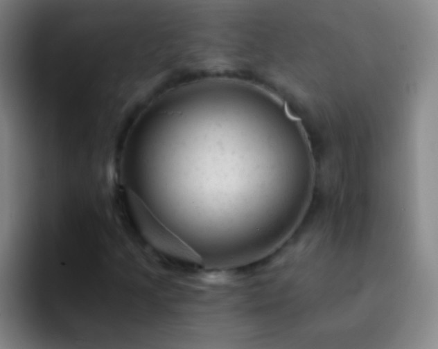 X0000092301205200709211225