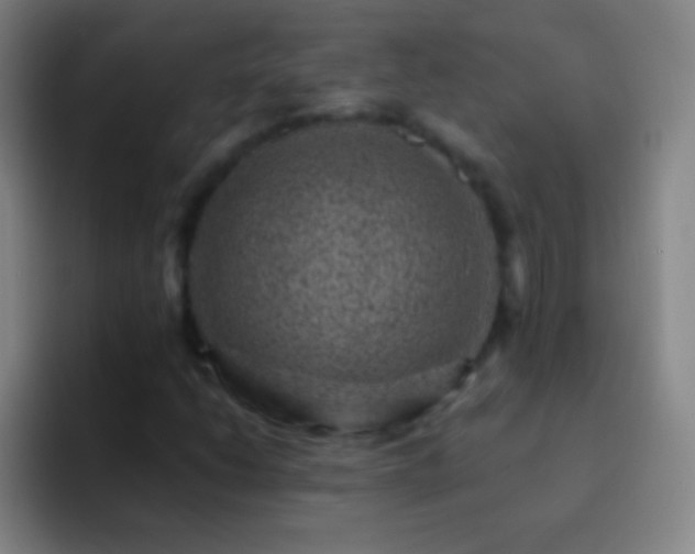 X0000092301206200709211225
