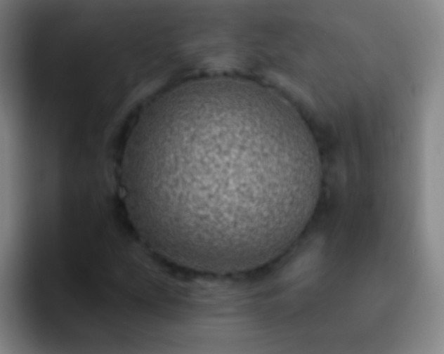 X0000092301207200709211225