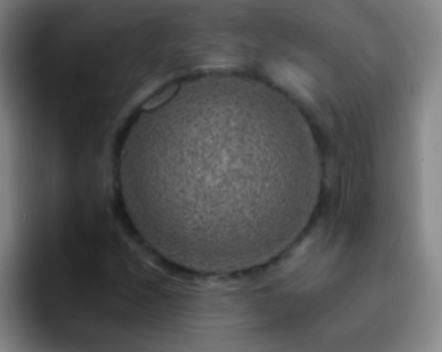 X0000092301208200709211225