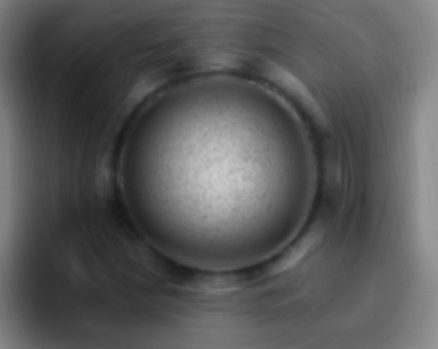 X0000092301210200709211225