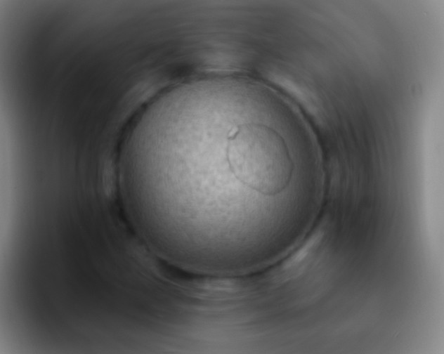 X0000092301211200709211225