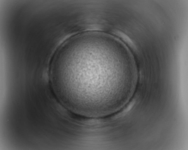 X0000092301212200709211225