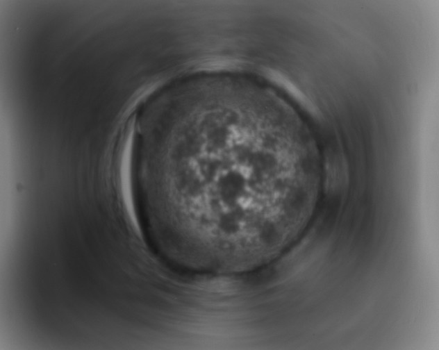 X0000092301213200709211225