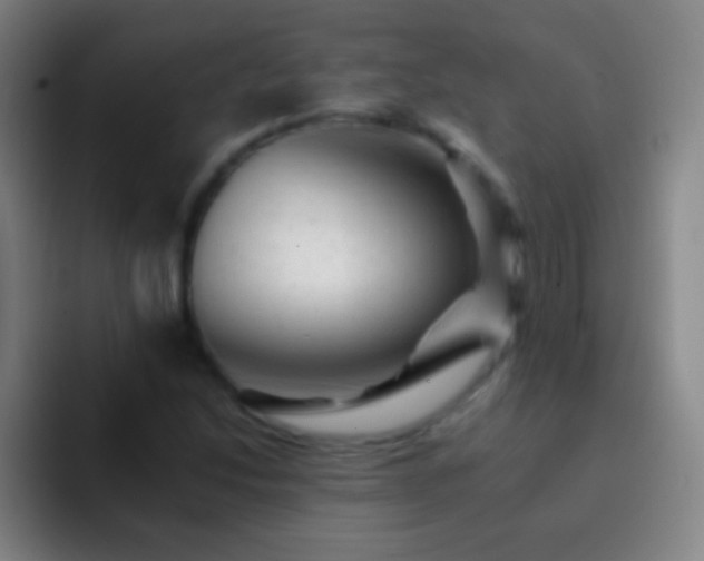 X0000092301214200709211225